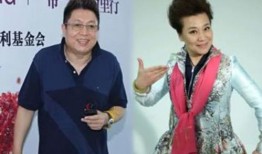 王芳最新爆料王为念,王为念背后的惊人真相